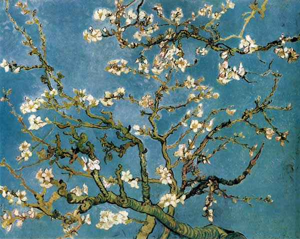  Vincent Van Gogh - Ramos de almendro en flor