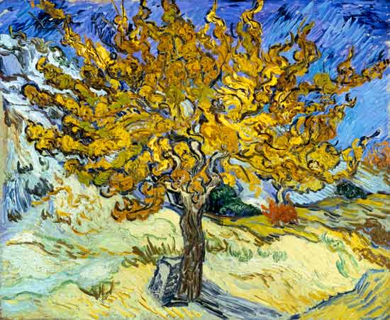  Vincent Van Gogh - Mulberry Tree