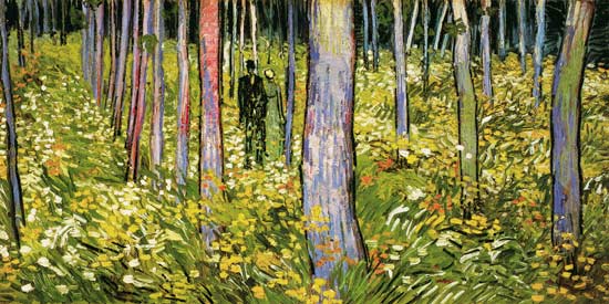  Vincent Van Gogh - Undergrowth