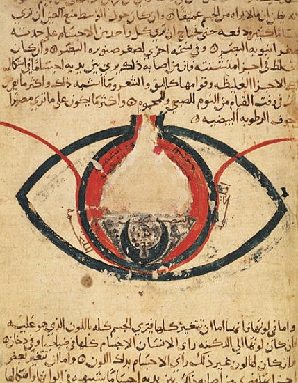 Anatomy of the Eye, from a book on eye diseases de Al-Mutadibi
