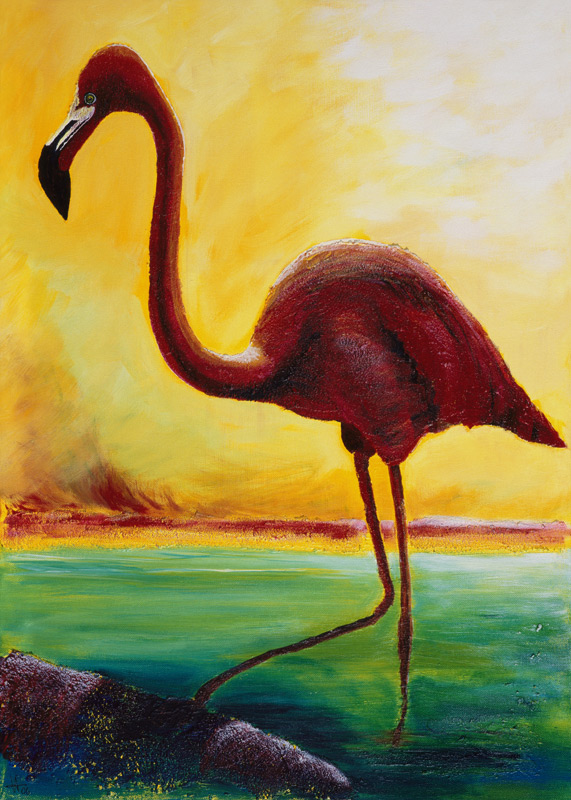 Flamingo de Arthelga