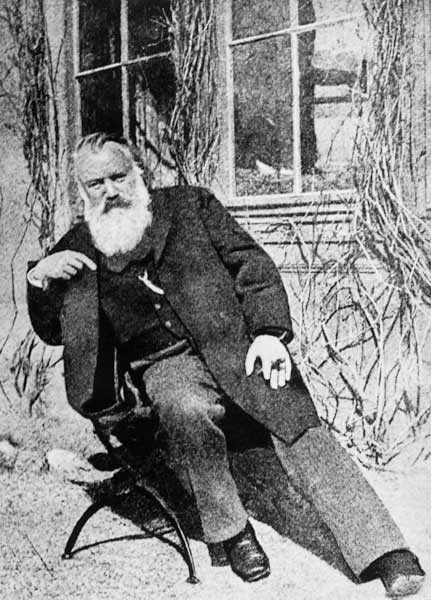 Johannes Brahms, c.1897 de Austrian Photographer