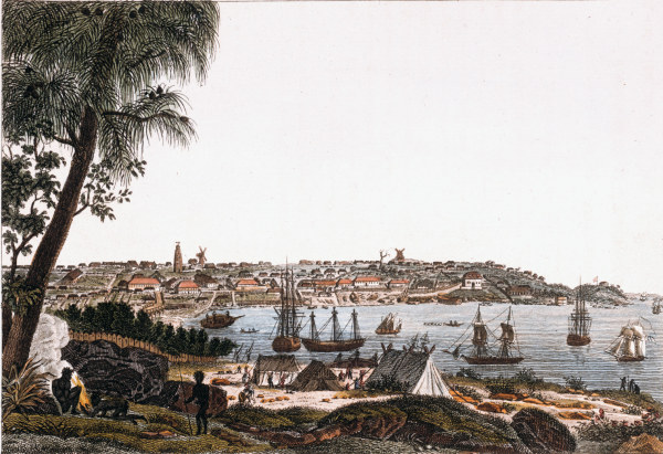 Sydney, view of the city de Bertuch