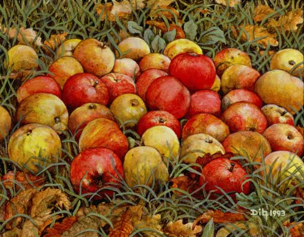 Durnitzhofer Apples, 1993 de Ditz 