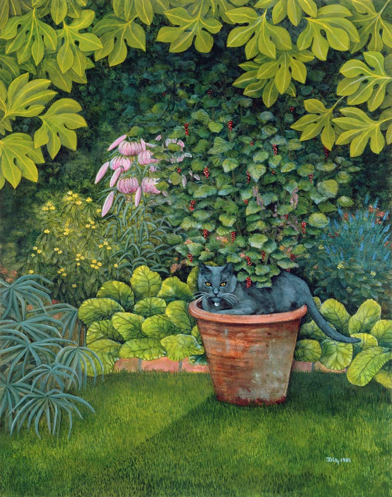 The Flower-Pot Cat de Ditz 