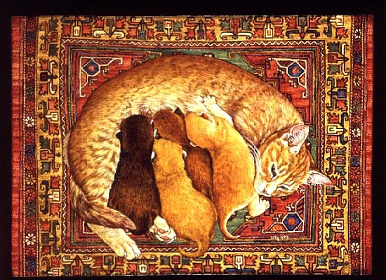 Carpet-Kittens  de Ditz 