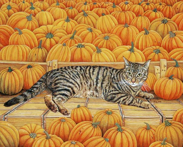 The Pumpkin-Cat, 1995 (acrylic on panel)  de Ditz 