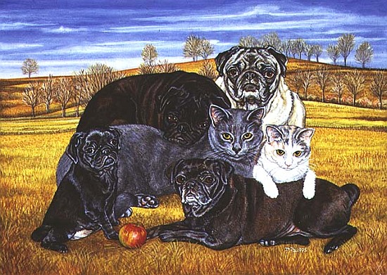 Hocking County Pug-Cats, 1995  de Ditz 