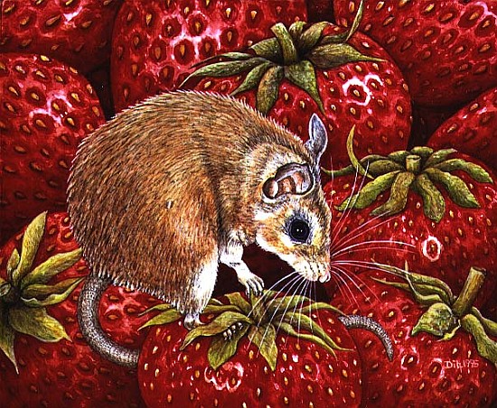 Strawberry-Mouse, 1995 (acrylic on panel)  de Ditz 