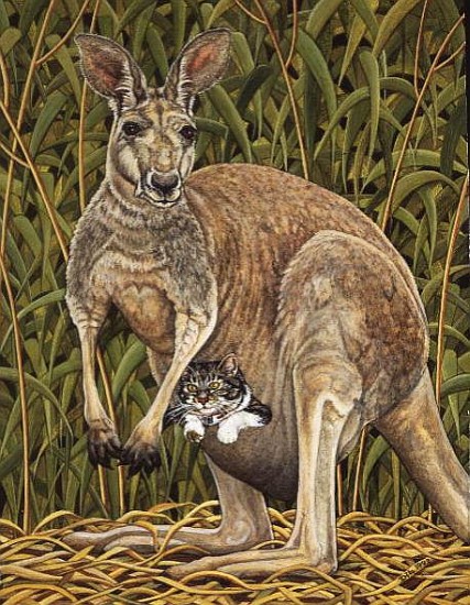 The Kangaroo-Cat  de Ditz 