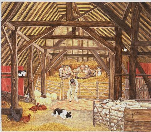 The Shearing Barn  de Ditz 