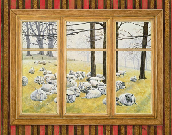 The Sheep Window de Ditz 
