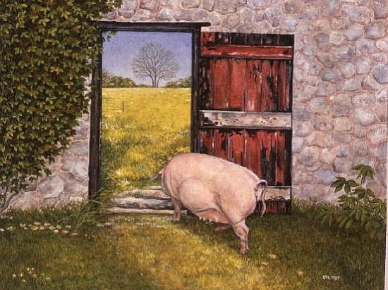 The Ware Farm Pig de Ditz 