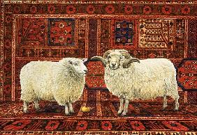 Persian Wool 