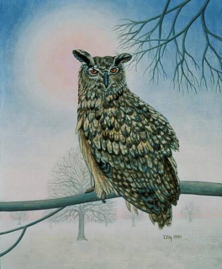 Winter-Owl  de Ditz 