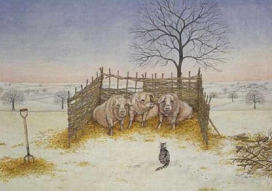 Winter Pigs  de Ditz 