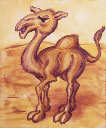 Groovy Camel de Funkyzoo