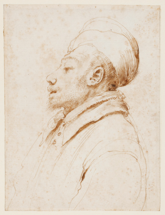 Karikatur eines Mannes im Profil nach links de Guercino (Giovanni Francesco Barbieri)