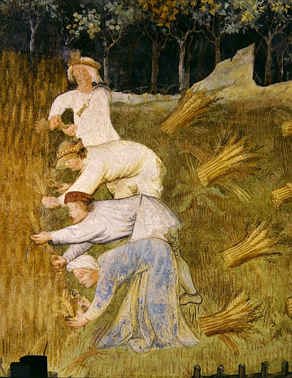 Harvesting wheat, detail de Italian School