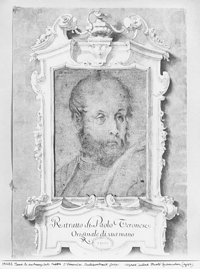 Portrait of a man presumed to be Veronese (Paolo Caliari) (pierre noire on bluish paper) de Italian School