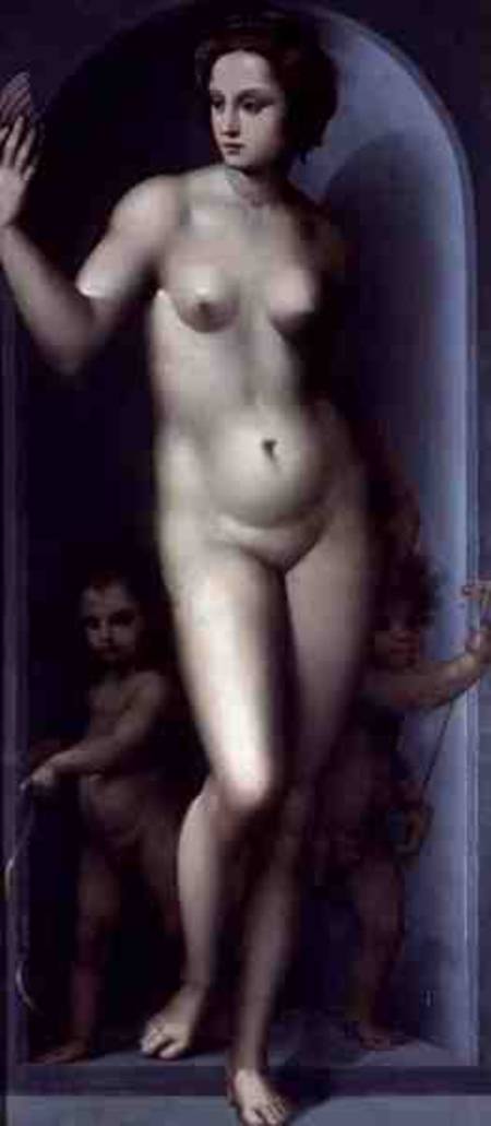 Venus Between Two Amores de A. Piccinelli
