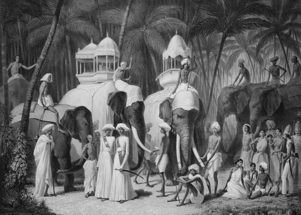 Elephants of the Raja of Travandrum, from 'Voyage in India' engraved by Louis Henri de Rudder (1807- de A. Soltykoff