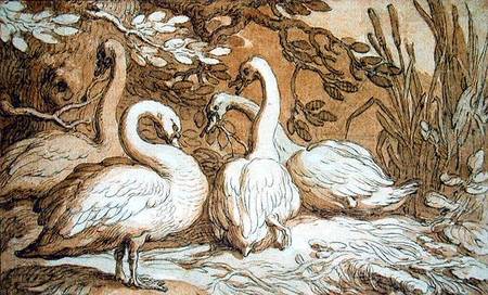A Group of Swans de Abraham Bloemaert