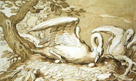 A Swan in her Nest de Abraham Bloemaert