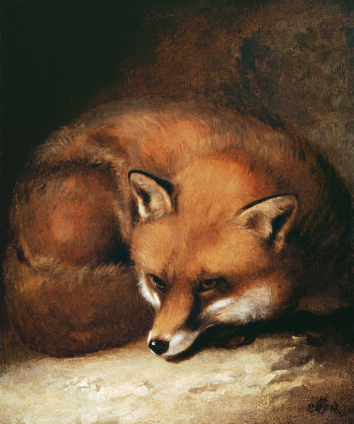A Fox de Abraham Cooper