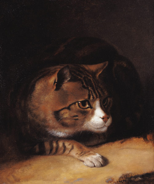 A Tabby Cat de Abraham Cooper