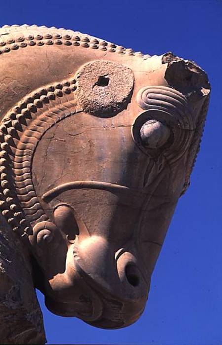 Bull's head on the northern portico of the Throne Hall of Xerxes de Achaemenid