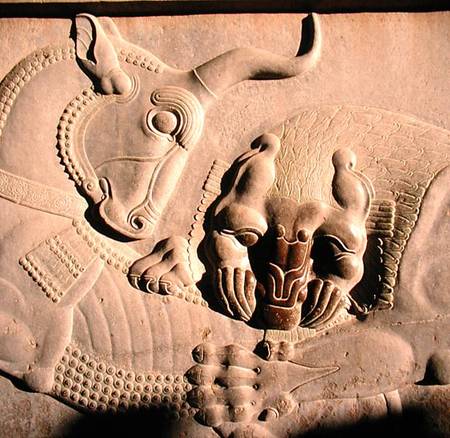 A ferocious lion attacking a bull, relief from the northern stairway facade of the Tripylon de Achaemenid