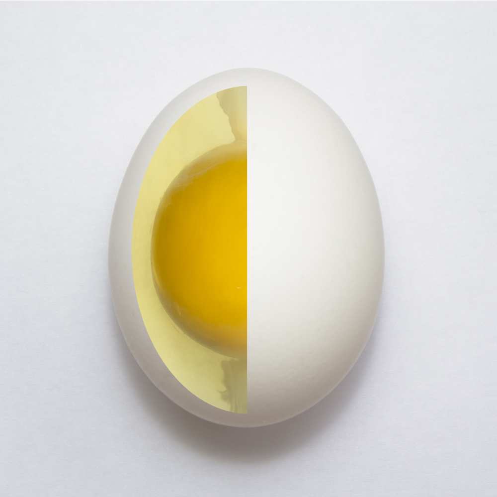 Inner Egg de Adelino Alves