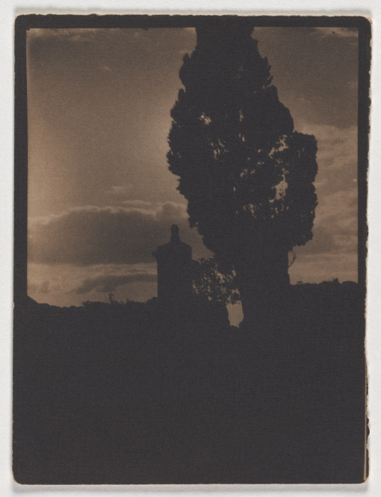 Silhouette of tree and tower in the evening sky de Adolf DeMeyer