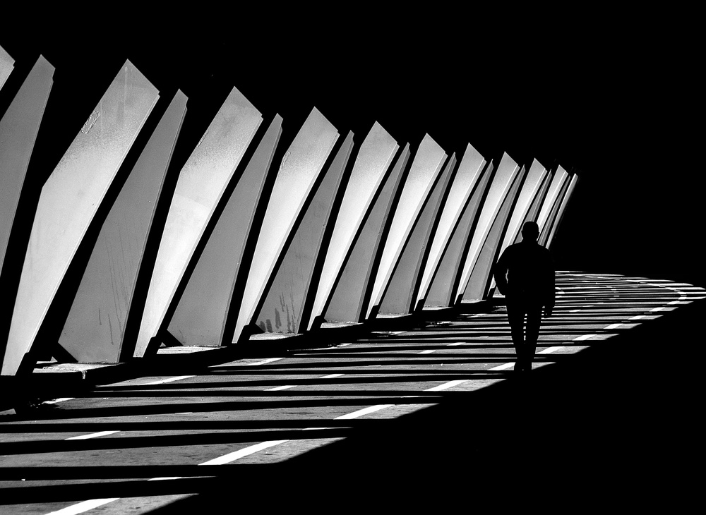 Between light and shadow de Adolfo Urrutia