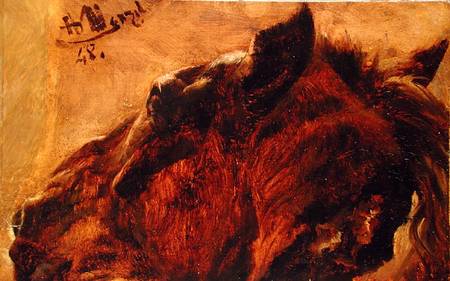 Head of a Dead Horse de Adolph Friedrich Erdmann von Menzel