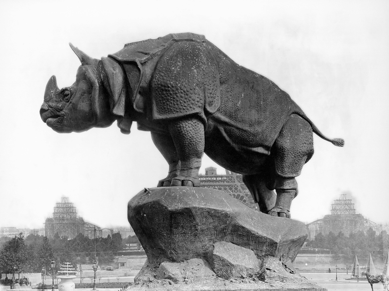 Rhinoceros, 1878, by Alfred Jacquemart (1824-96) in front of the Trocadero Palace, constructed for t de Adolphe Giraudon
