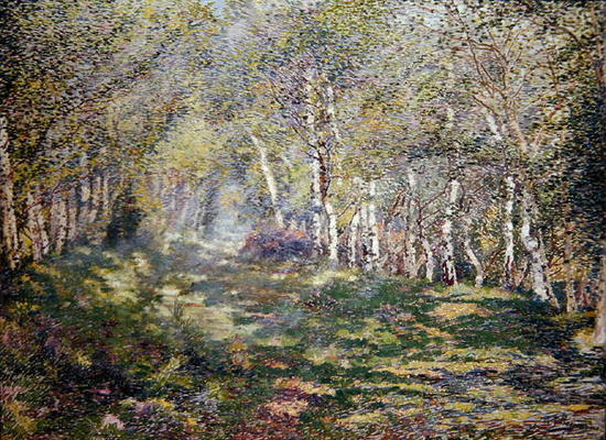 Silver Birches (oil on canvas) de Adriaan Josef Heymans
