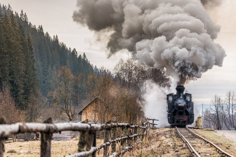 The steam train de Adrian