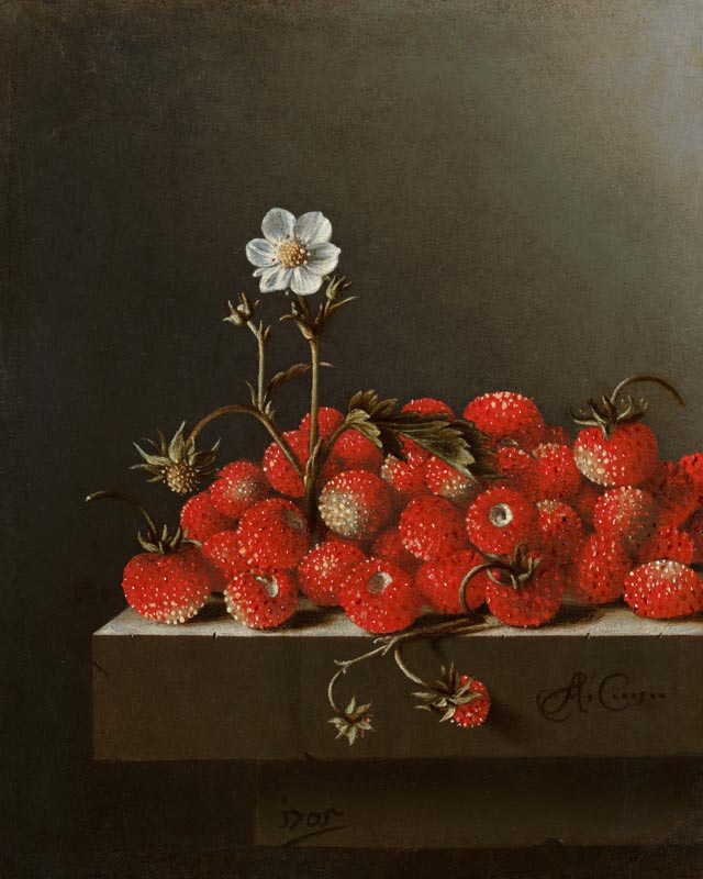 Still Life with Wild Strawberries de Adrian Coorte