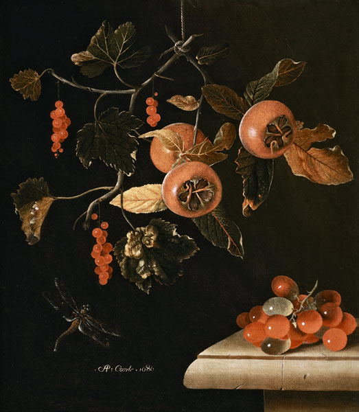 Still Life of Medlars, Redcurrants, Grapes and a Dragonfly de Adrian Coorte