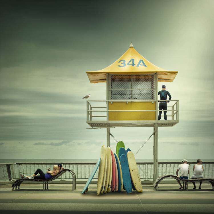 The life guard de Adrian Donoghue