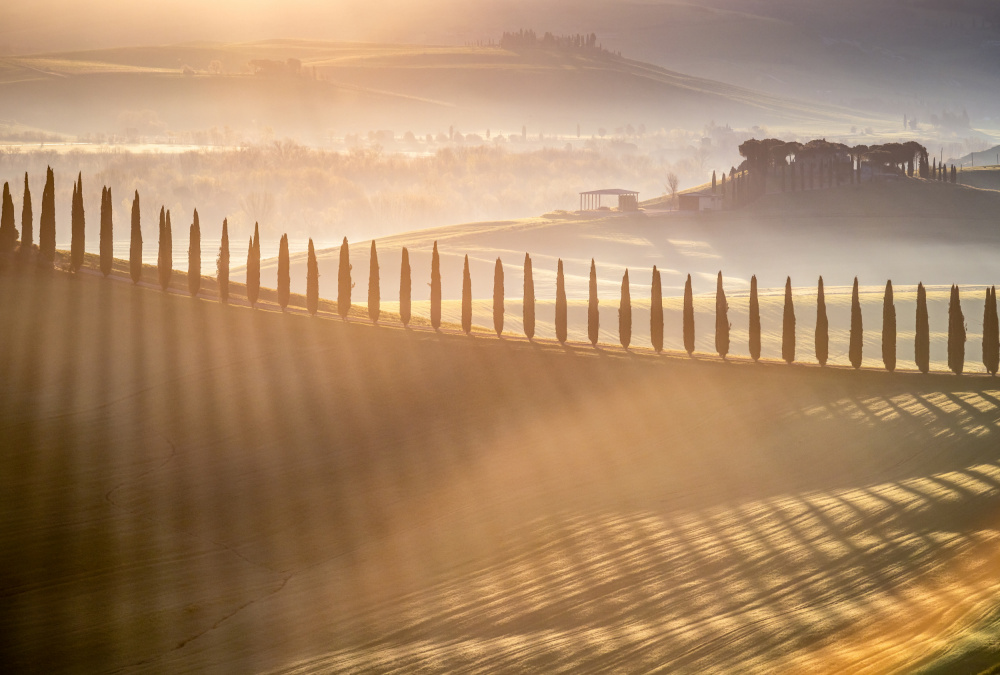 Tuscan Sunrise de Adrian Popan