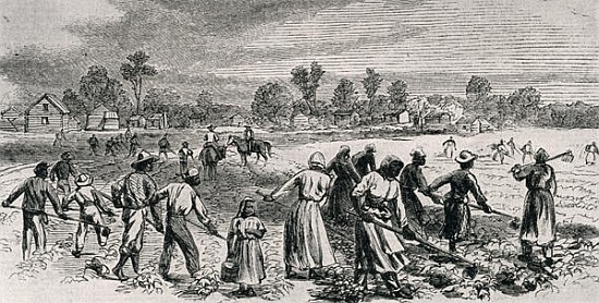 Labour in the Cotton Fields, Hoeing the Young Plants, illustration from ''Harper''s Weekly'', 1867,  de (after) Alfred R. Waud