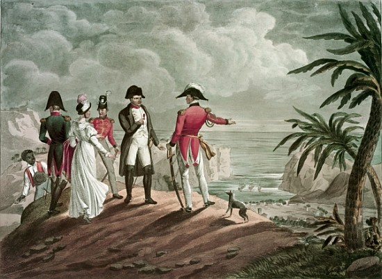 Bonaparte on St. Helena (steel engraving) de (after) Francois Martinet