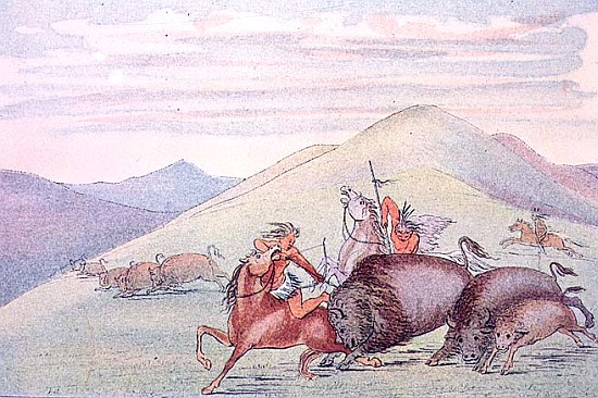 Buffalo bull protecting calf and mother under attack de (after) George Catlin