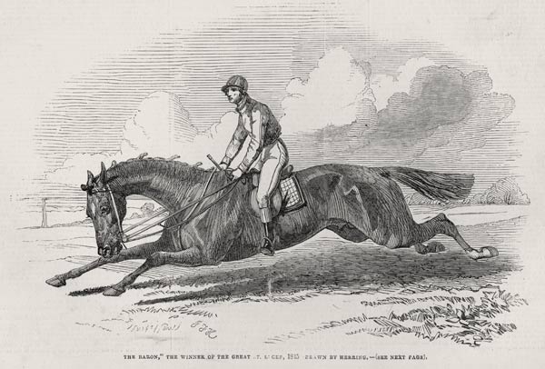 ''The Baron'', the winner of the Great St. Leger, from ''The Illustrated London News'', 27th Septemb de (after) John Frederick Herring Snr