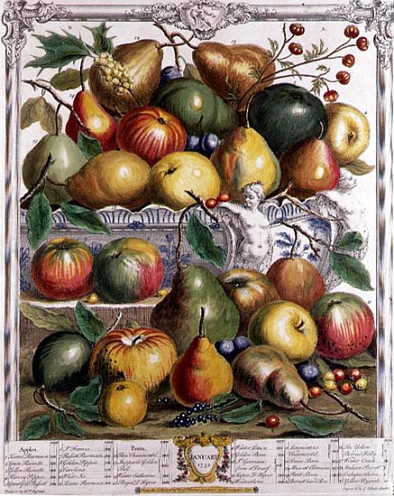 January, from ''Twelve Months of Fruits'', Robert Furber (c.1674-1756) ; engraved by  Gerard Vanderg de (after) Pieter Casteels