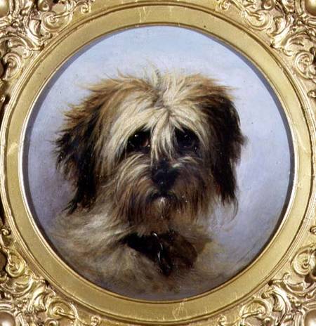 A Head of a Terrier (board) de Agnes Dundas