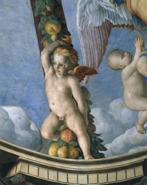 Bronzino, Putto with fruit garland de Agnolo Bronzino